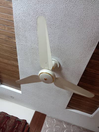 SK Fan  standard size