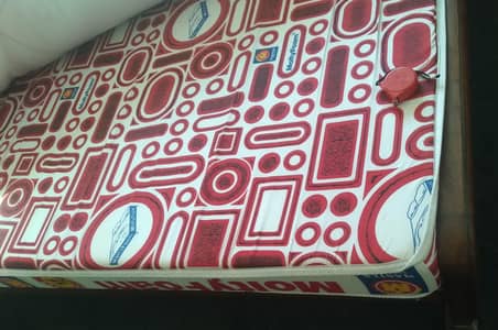 New Molty Foam 6inch