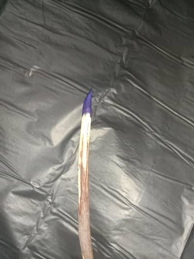 antique wooden Pan 19 ns