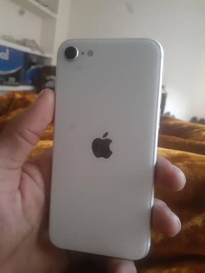 contact number 0316 566 5253