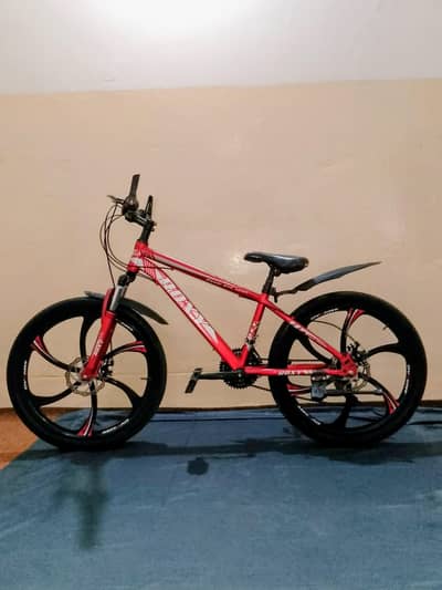 Roxy Bicycle Super Condition 10/10 Cycle
