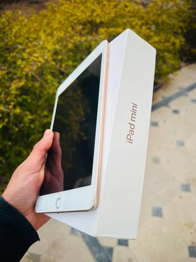 Ipad Mini 5