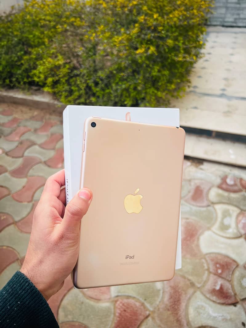 Ipad Mini 5 1