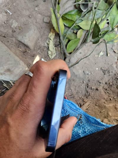 No exchange only sale