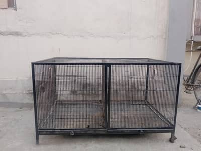 birds and chicken cage for sale