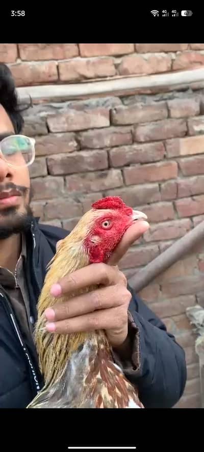 Adnan Aseel with tpni  03076748257