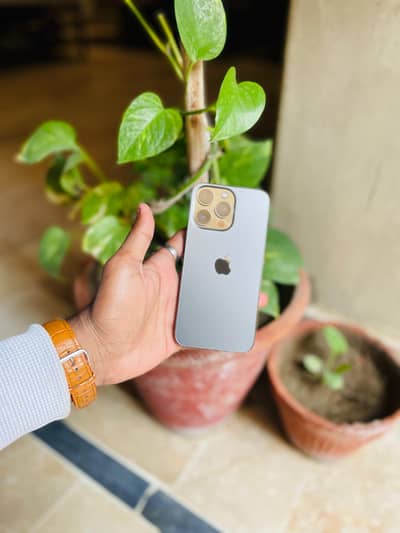 iPhone 13 pro read add