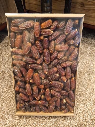 Fresh Dates / Bulk Khajoor for Sale, High Quality Khajoor Available