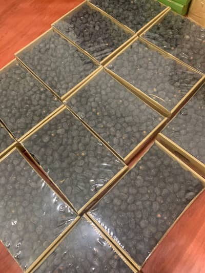 Fresh Dates / Bulk Khajoor for Sale, High Quality Khajoor Available