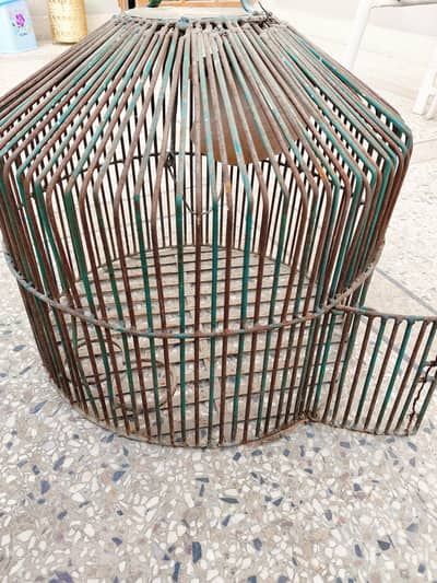 Solid cage for sale birds | parrots | pigeons