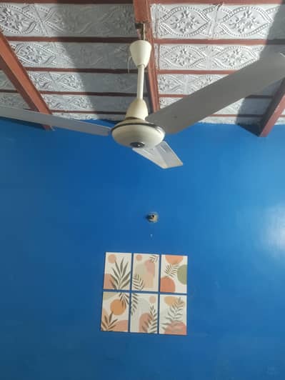 220 fan used condition