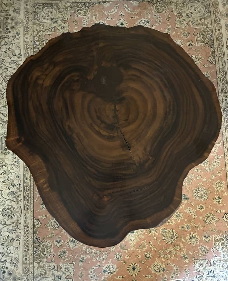 Solid Wood Tree Trunk Coffee Table 1
