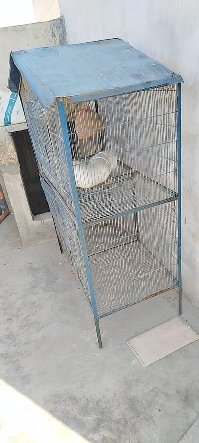 birds cages