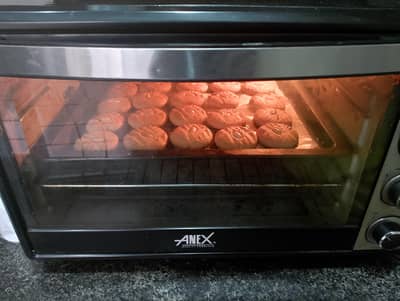 ANEX Baking Oven with Convection Fan