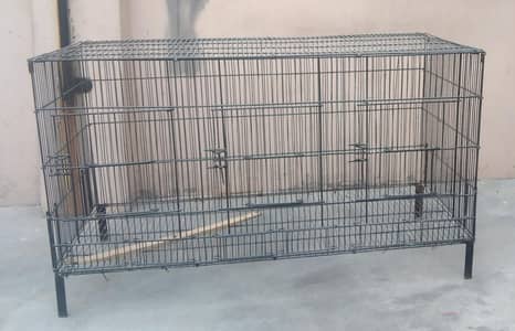 Birds cage