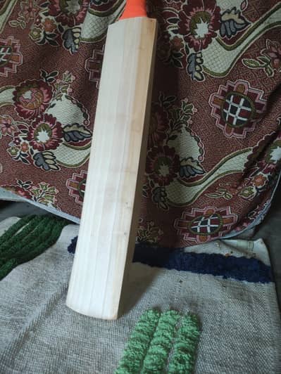 English Willow Bat Plain