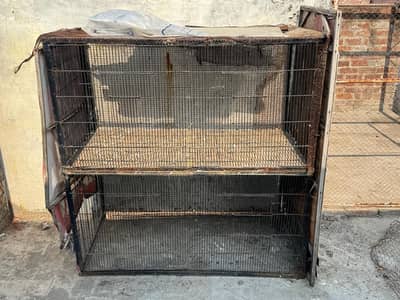 Bird Cage for Sale