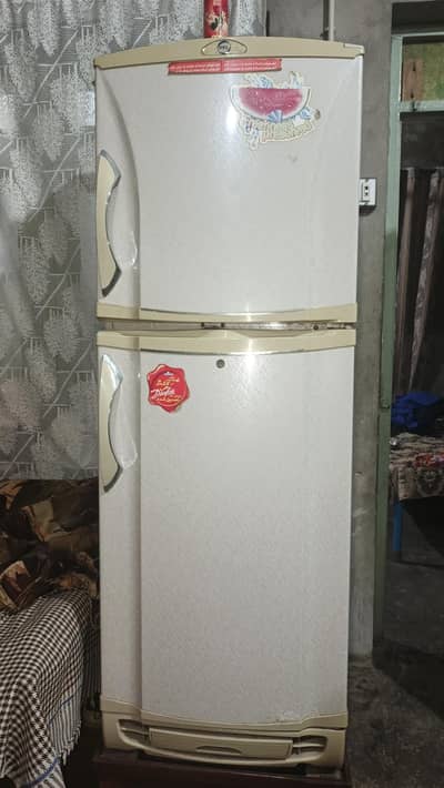 PEL company Fridge  Conditions Ok