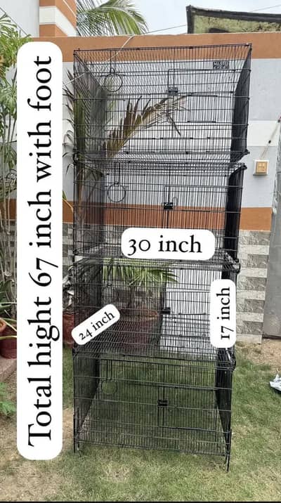 Cage ringneck & love birds