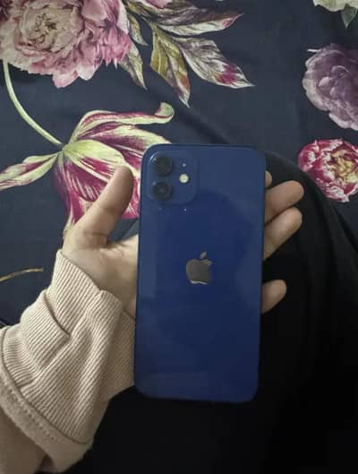 urgent sale iphone 12  condition 8/10