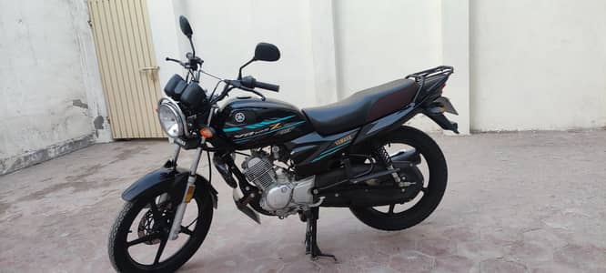 YAMAHA YBZ DX  2022