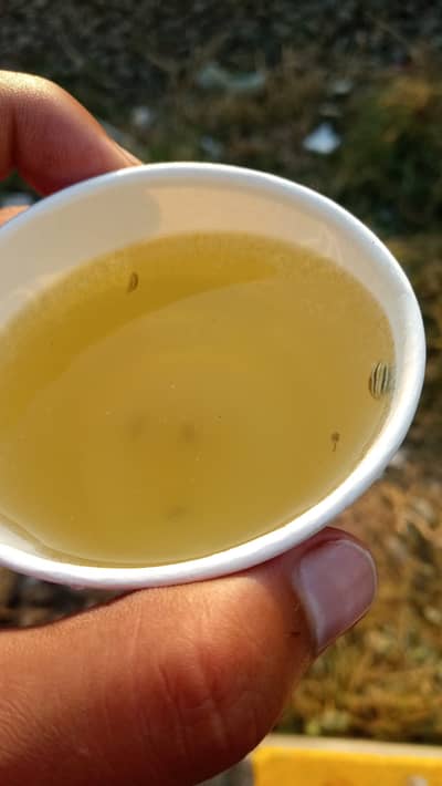 Spa service available for female