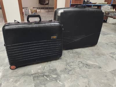 Branded language Bags duraable and long time