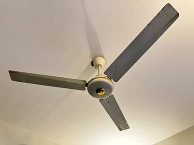 GFC Fans / Super Asia Fans