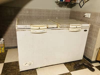 WAVES TRIPLET ( Double Door)