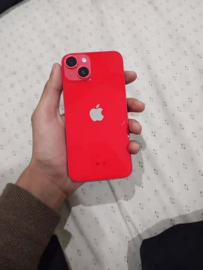 Contact only WhatsApp 03111767278