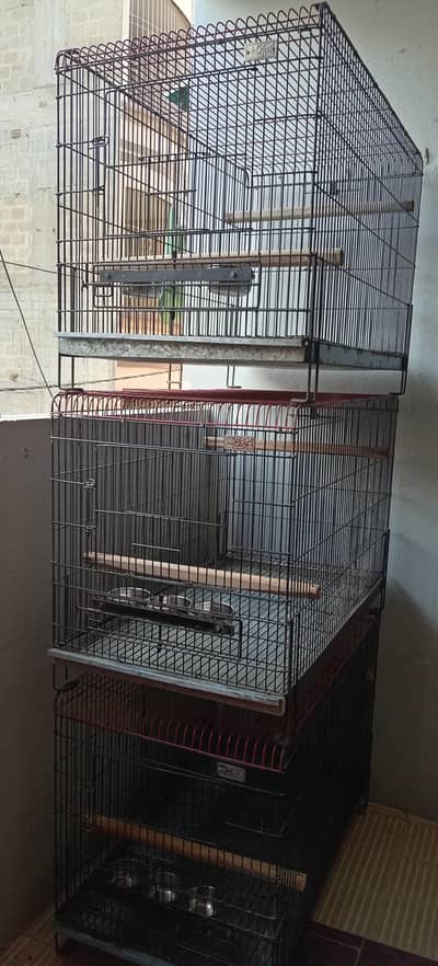3 postion birds cage