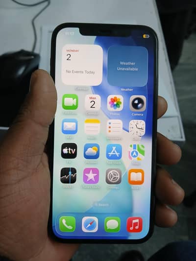 battery health 81 256 GB 10by9 condition