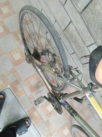 Bianchi Road Cycle Perfect Condition