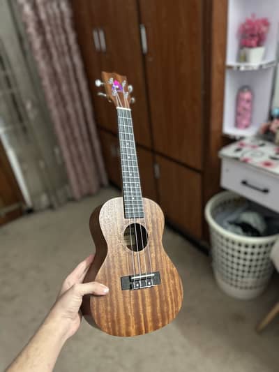 Ukulele concert guitar musical instruments piano drums