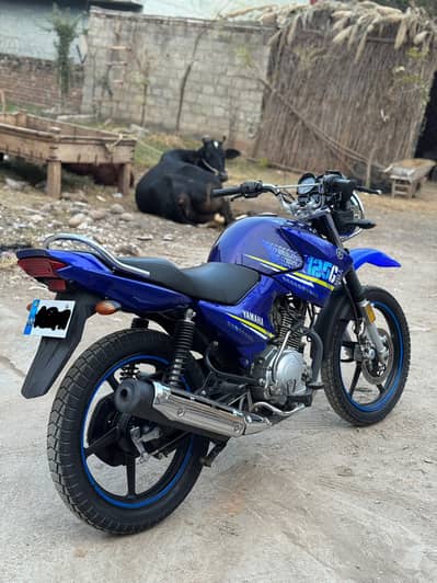 Yamaha YBR 125G 2024 Model