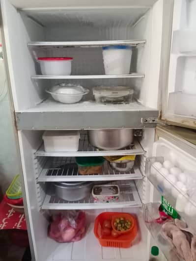 Pel fridge for sell