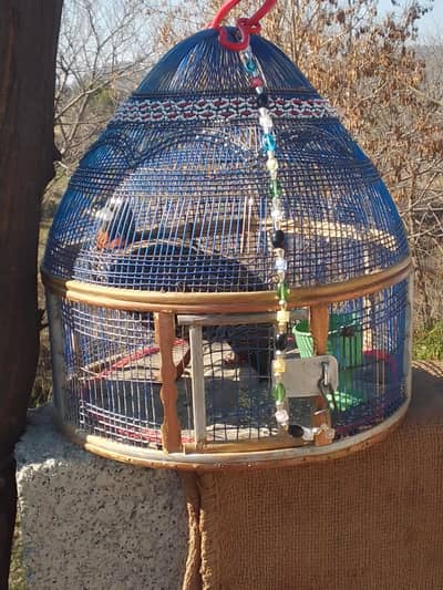 kala teeter for sale