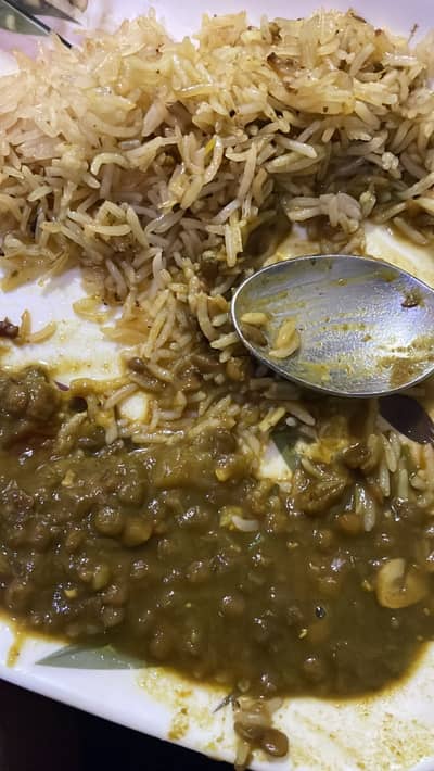 Pure Yellow Labrador Retriever (Male) – PKC Registered, Microchippe