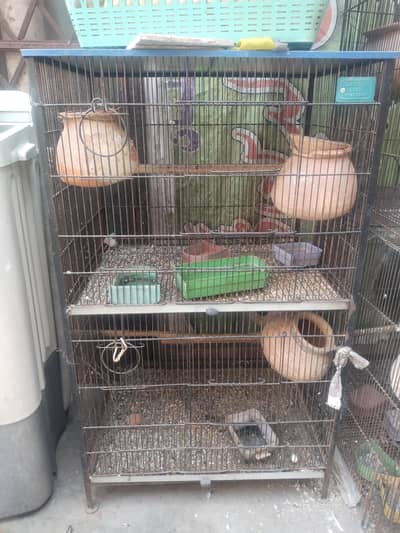 Birds cage