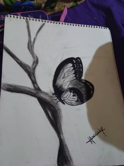 bulb and butterfly sketch realistic