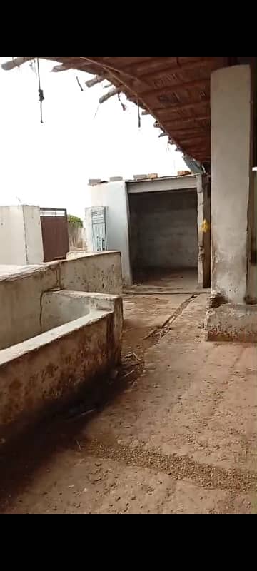 Farm House For Sale In Surjani Town Sector 9