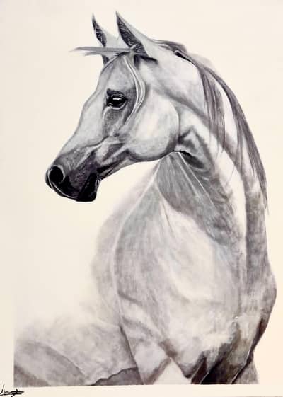 Custome horse paintings
