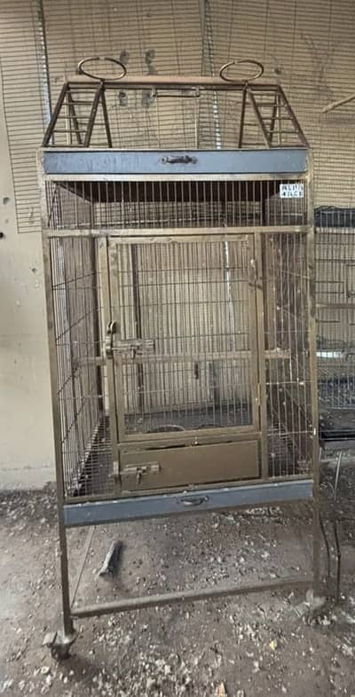 Tamed Bird cage