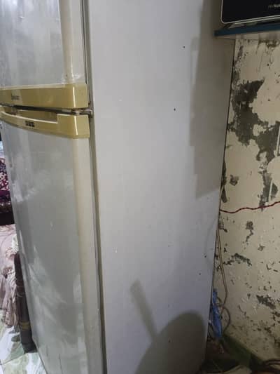 medium size fridge Dawlance