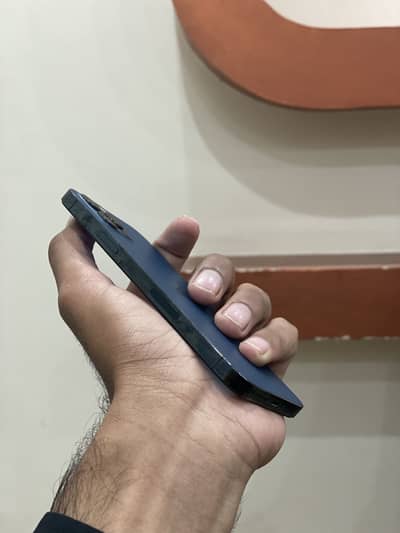 12 pro jv 256gb panel change