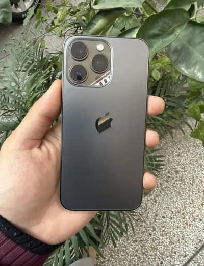 urgent sale 13 pro betery health 97 all ok  256 gb