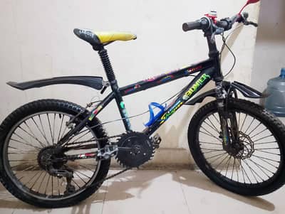 Gear and Jumper Bicycle