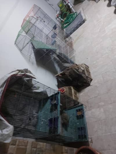 3 iron cage 2 wood cahe