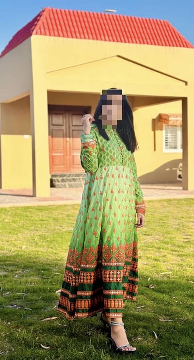Beautiful Green Formal Dress with Heavy Border – Excellent Condition