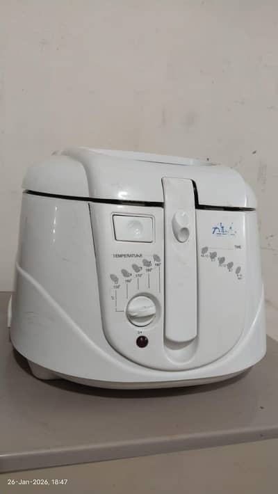 anex fryer